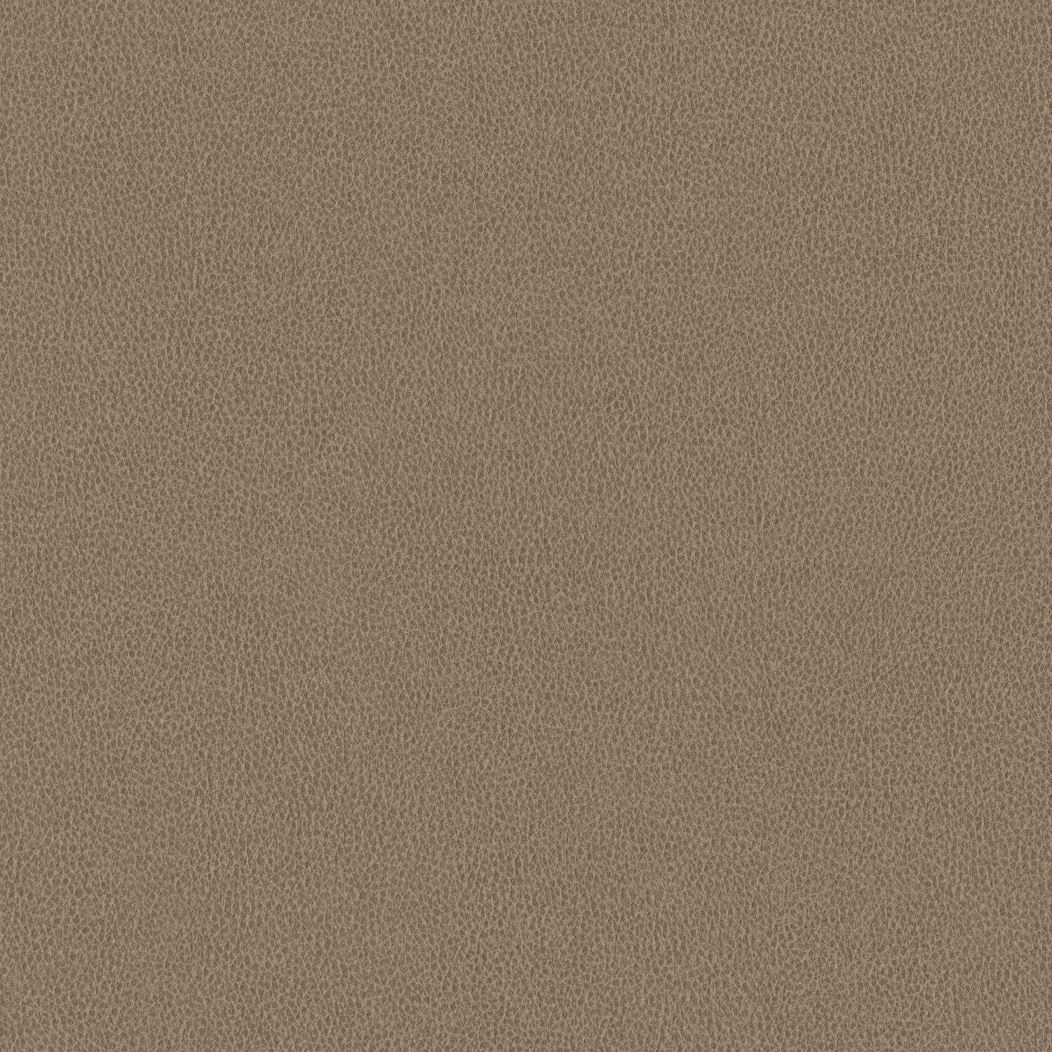 Nomad - Barn Owl - 4149 - 03