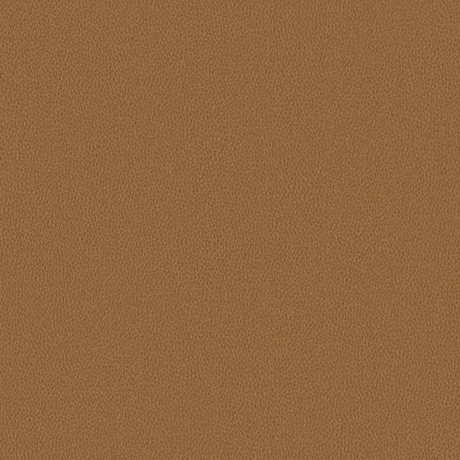 Nomad - Wheat - 4149 - 04