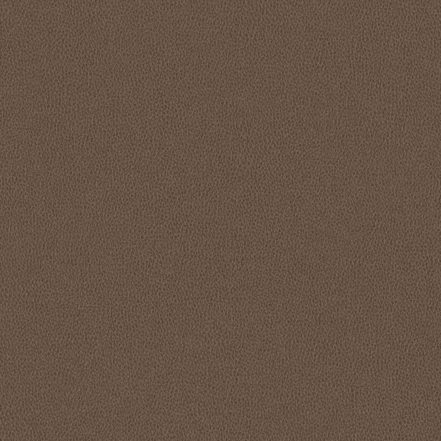 Nomad - Sandstorm - 4149 - 07