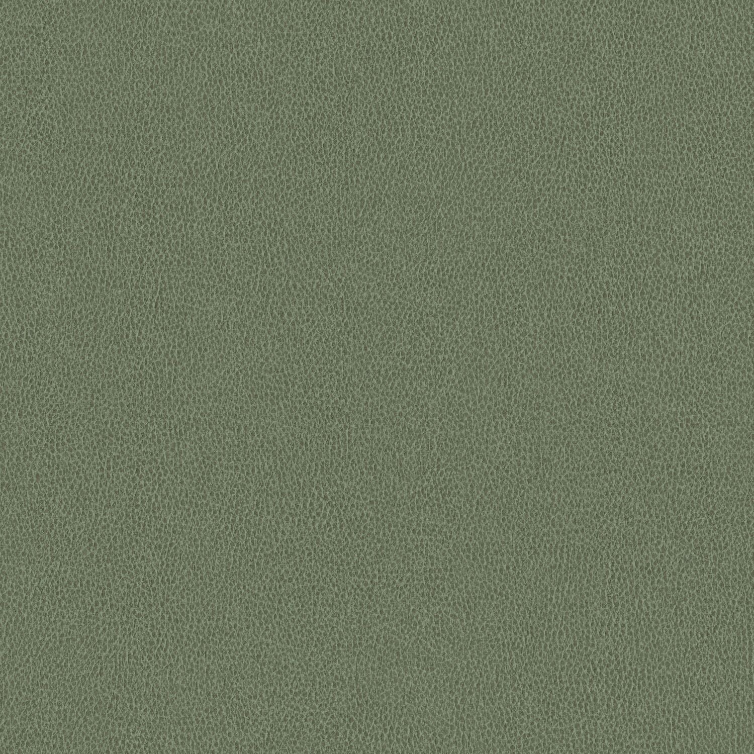 Nomad - Sage - 4149 - 09