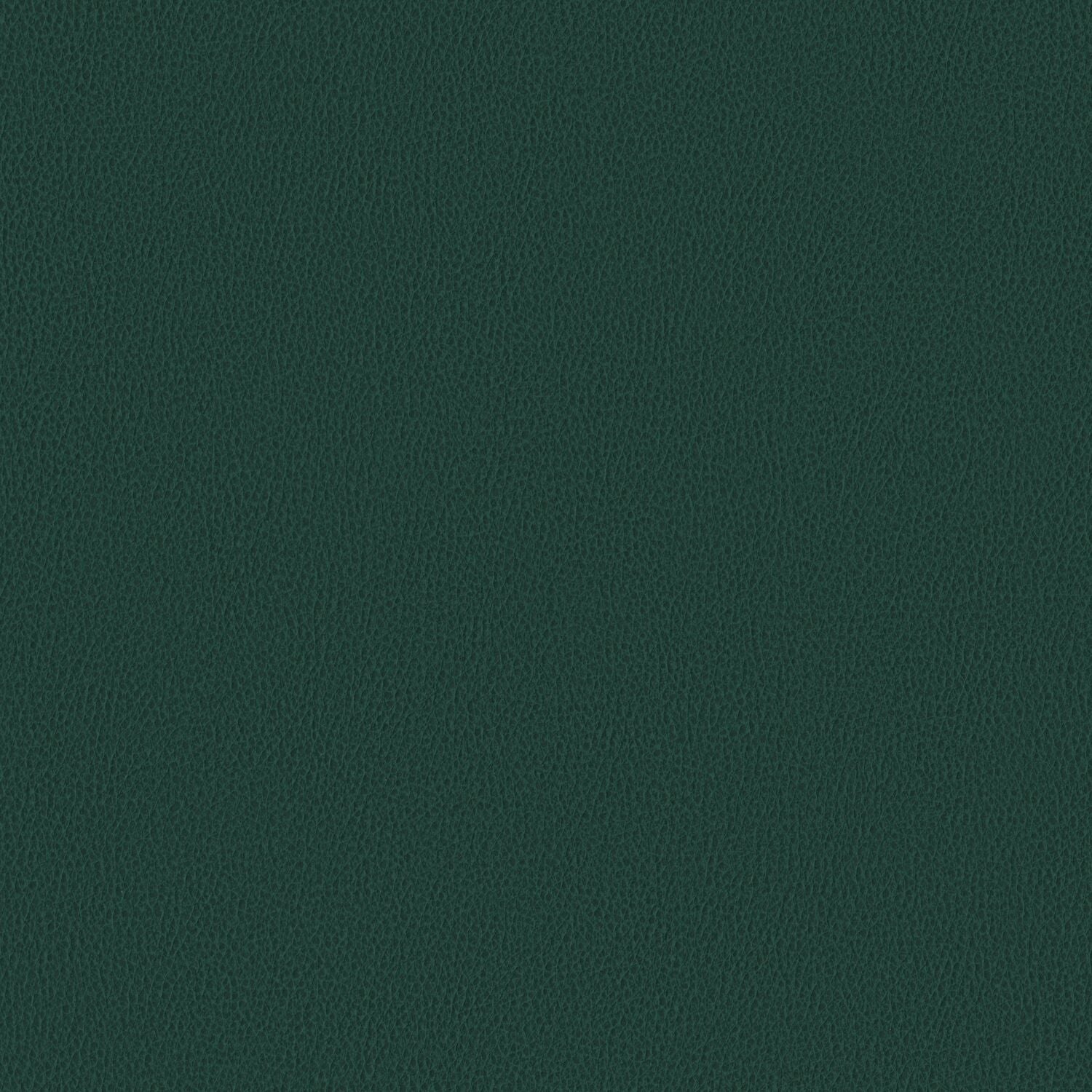 Nomad - Topaz - 4149 - 10