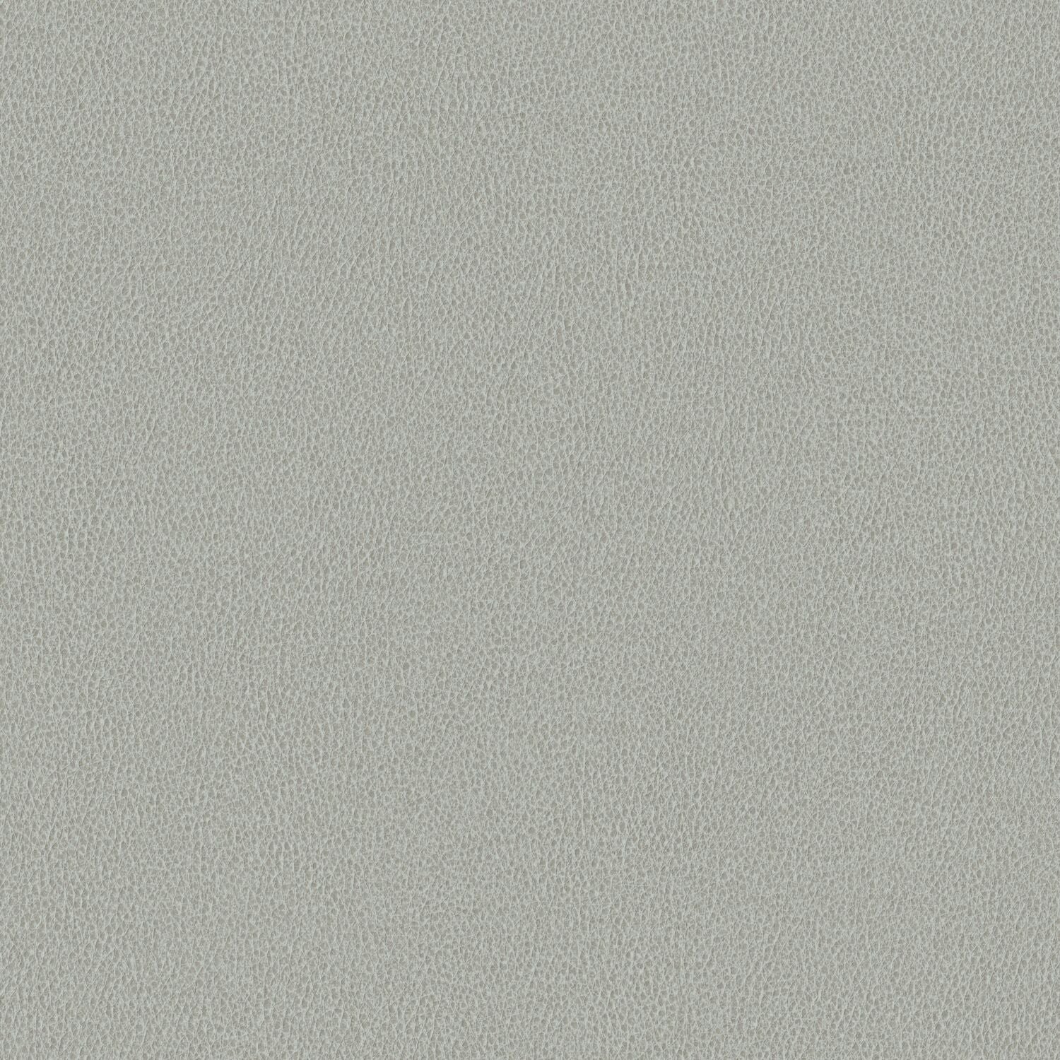 Nomad - Moth - 4149 - 12