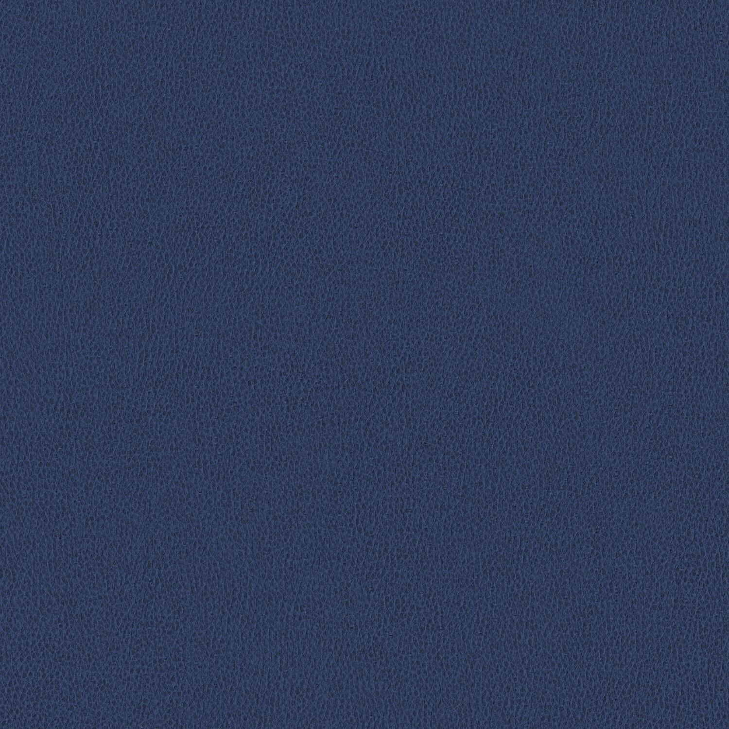 Nomad - Blue Heron - 4149 - 15