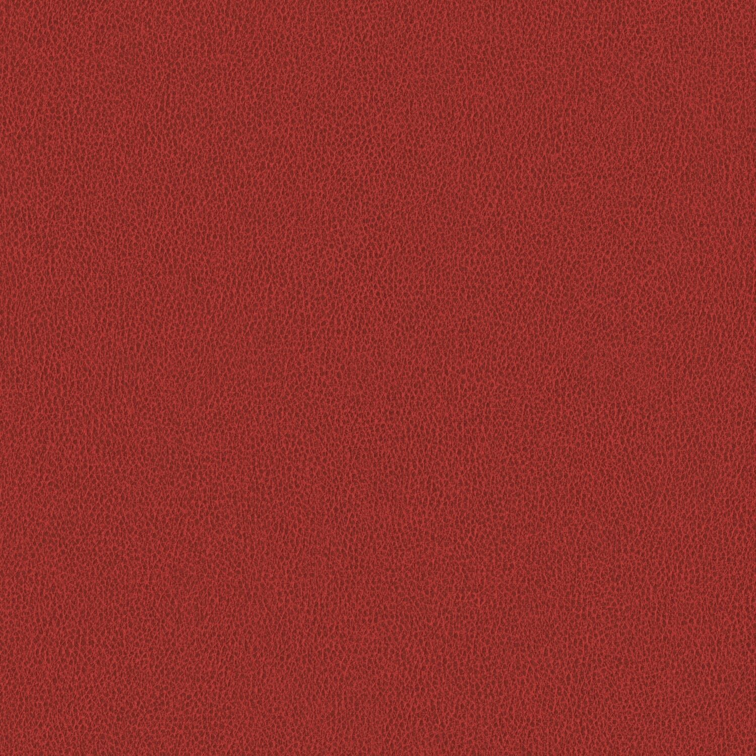 Nomad - Cardinal - 4149 - 18