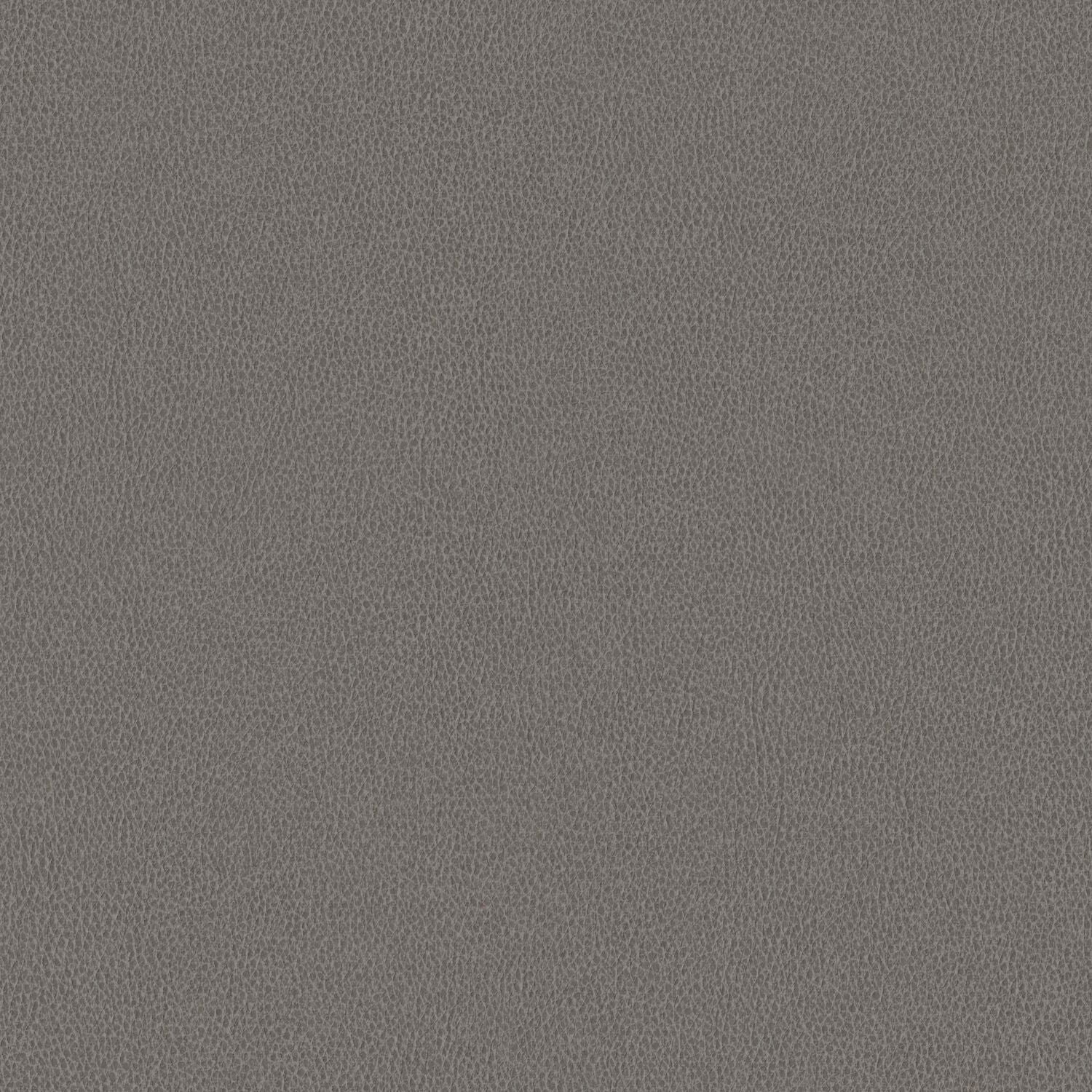 Nomad - Sparrow - 4149 - 20