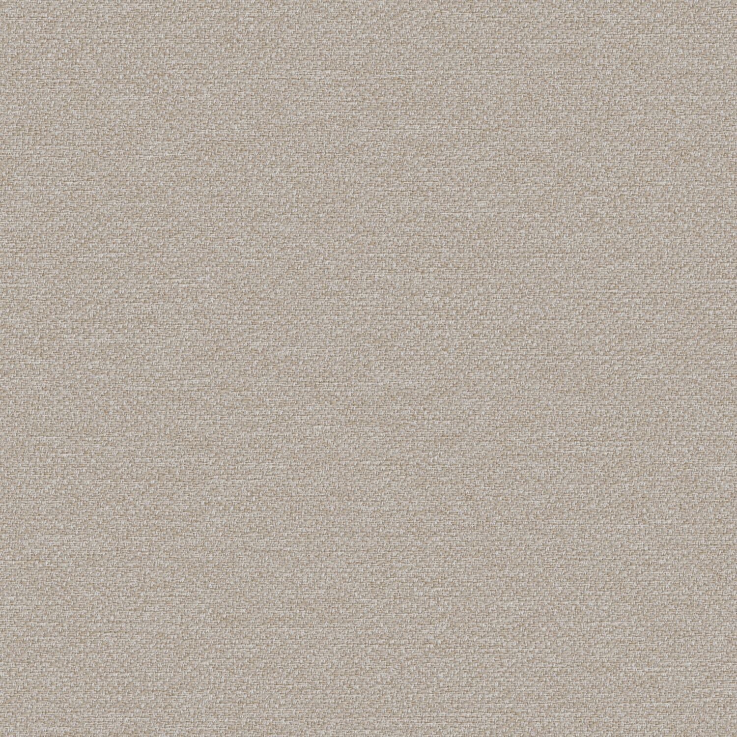 Pathway - Feather - 2012 - 02