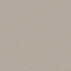 Pathway - Feather - 2012 - 02
