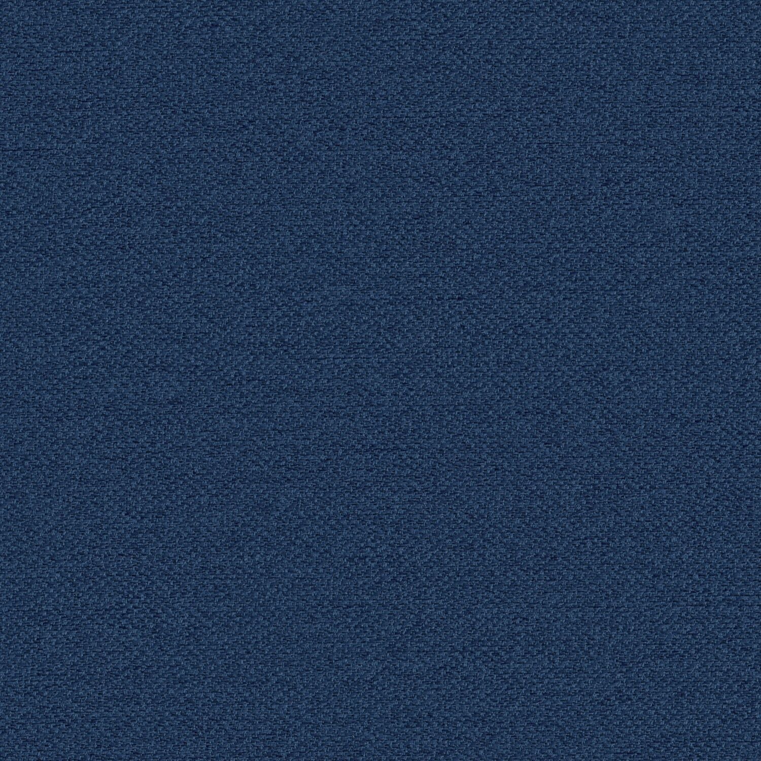 Pathway - Denim - 2012 - 09