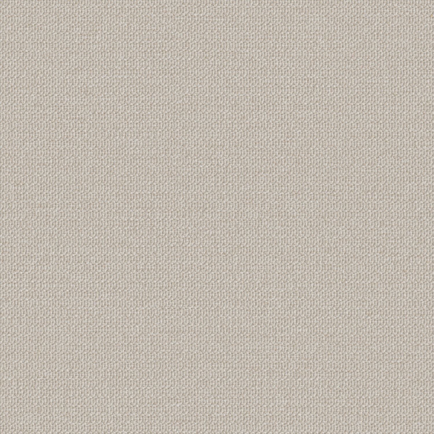 Zippy - Saltwater - 2014 - 01