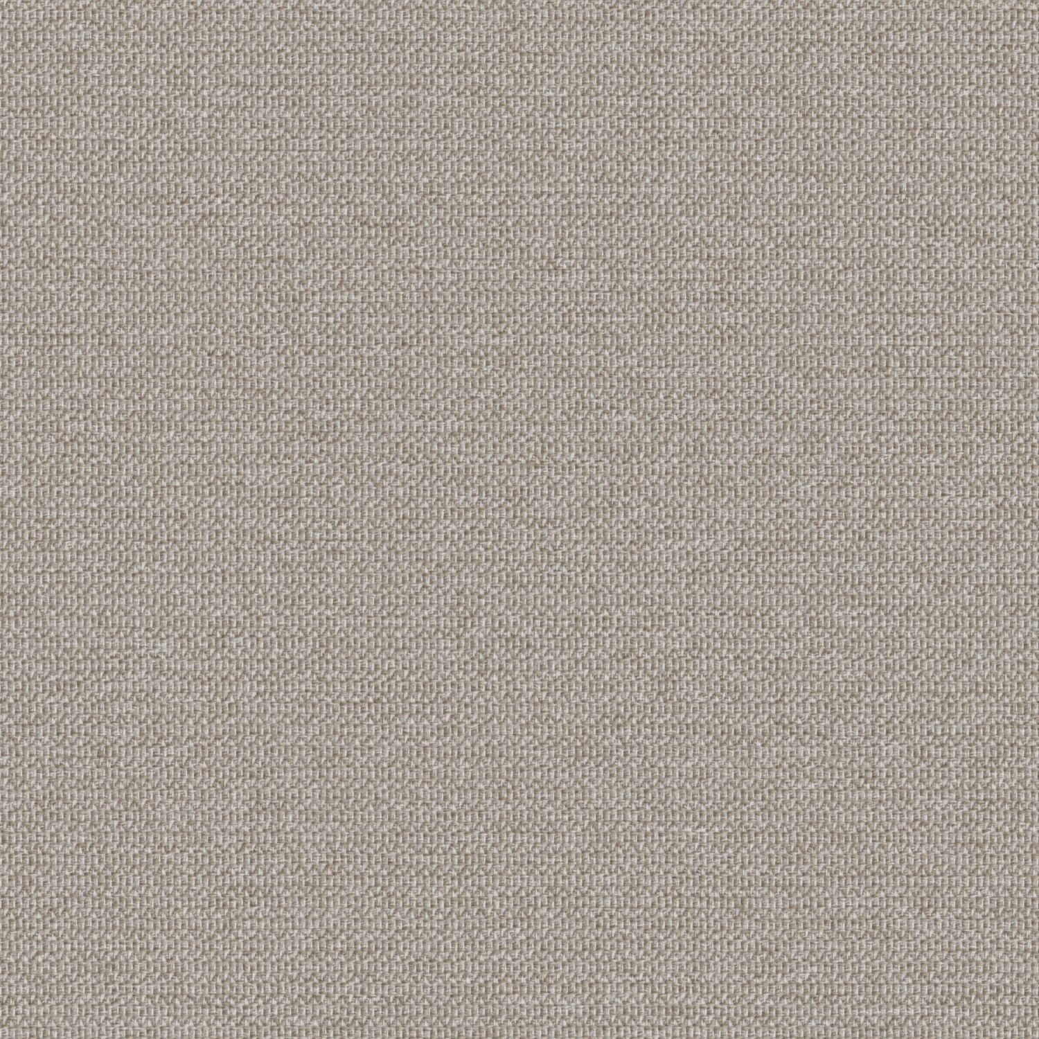 Zippy - Birch - 2014 - 03 - Half Yard