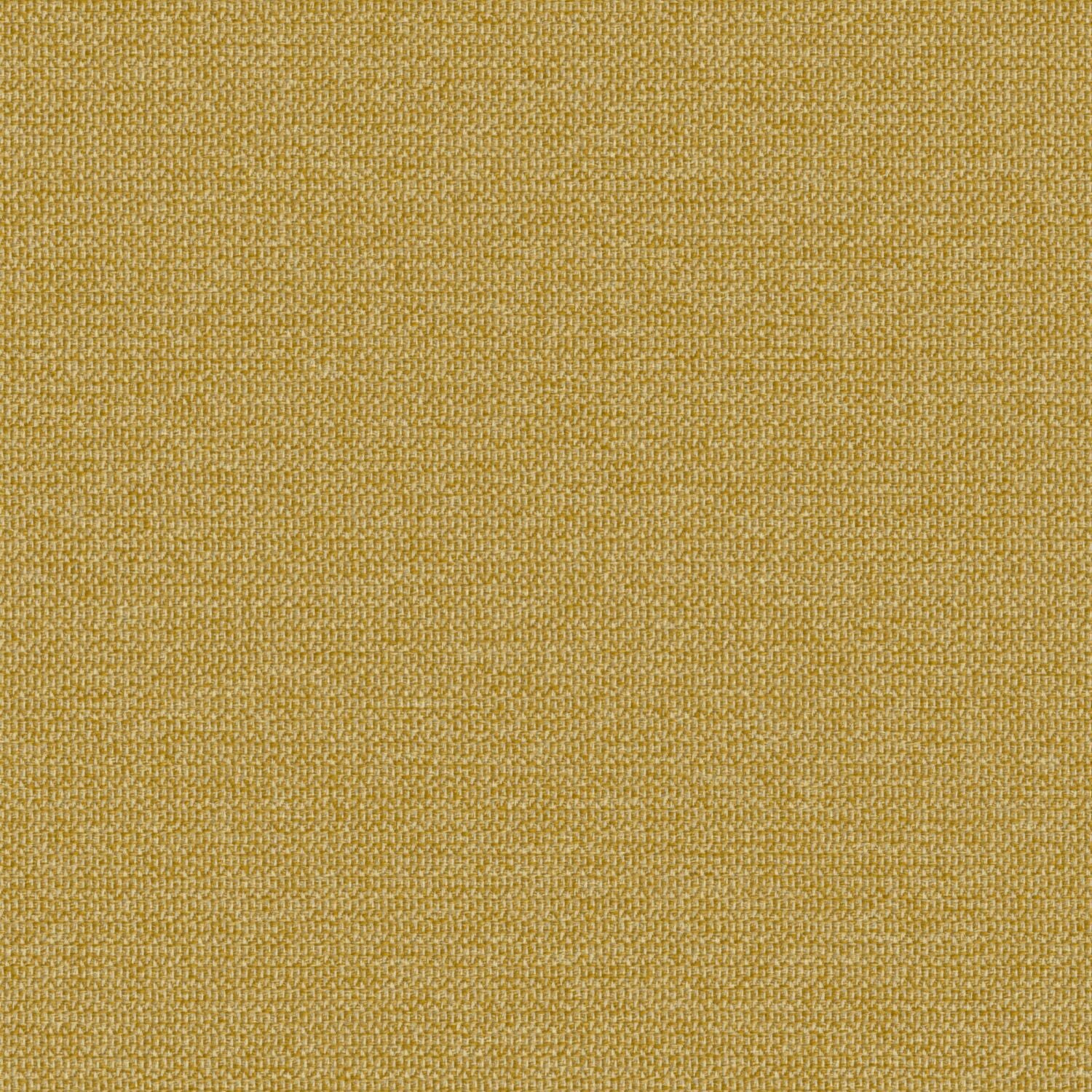 Zippy - Soleil - 2014 - 04