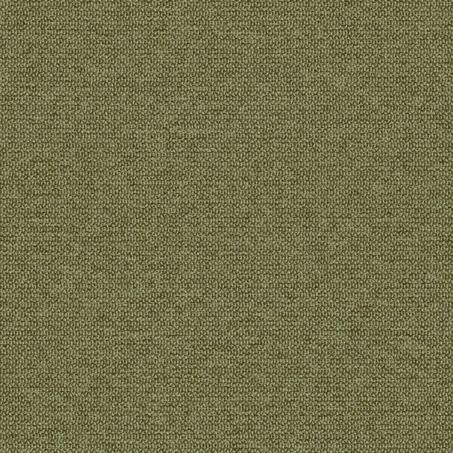 Zippy - Grasshopper - 2014 - 05