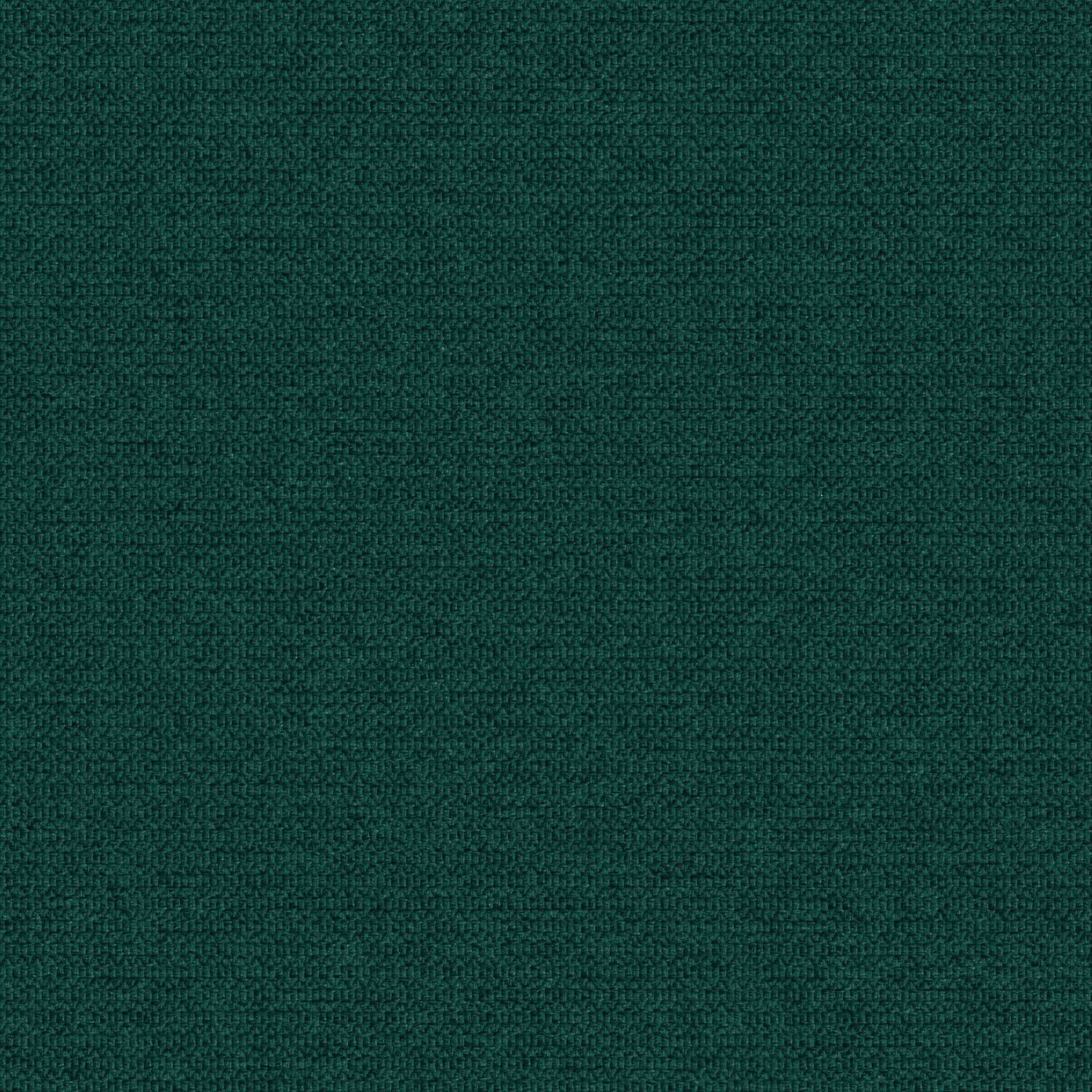 Zippy - Foliage - 2014 - 07