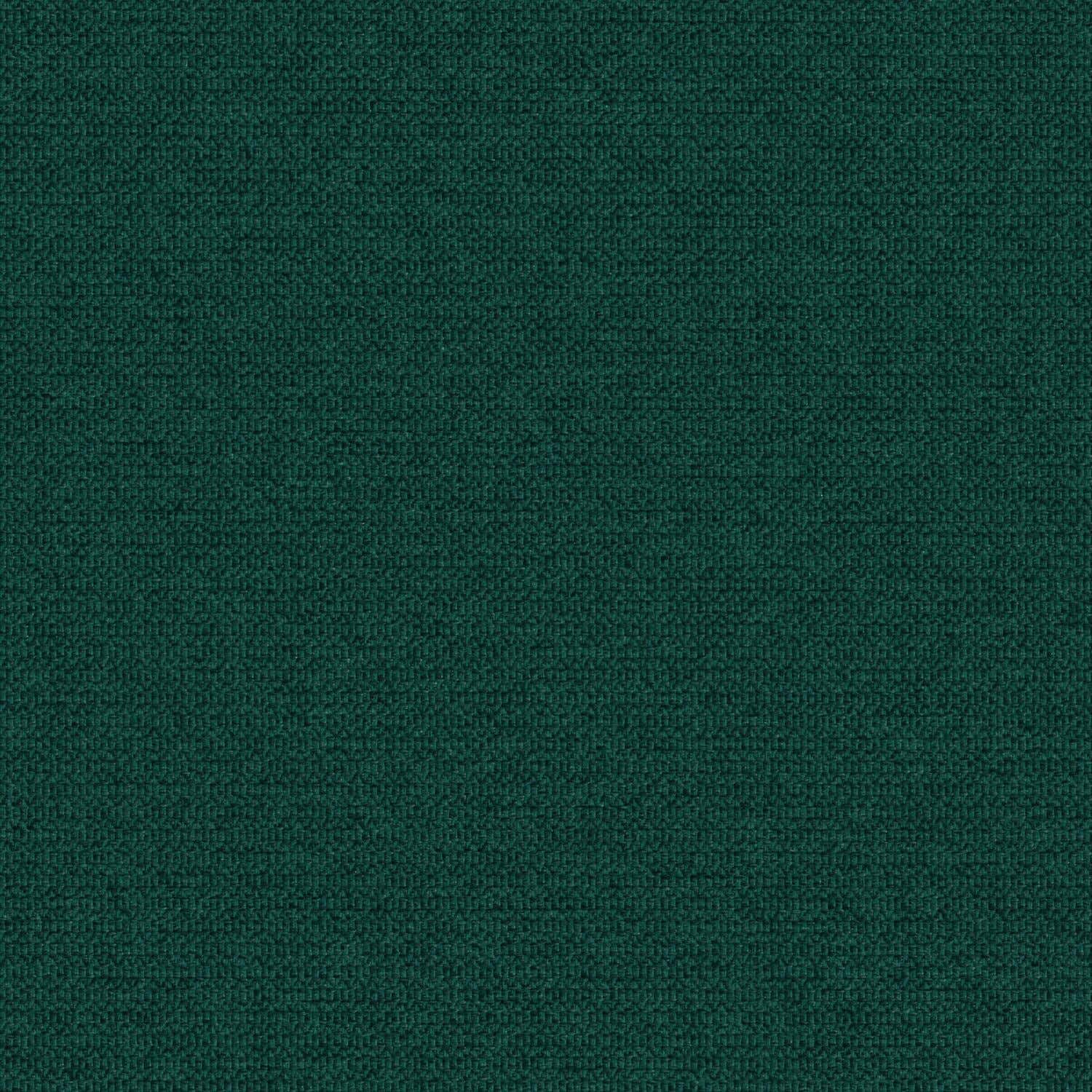 Zippy - Foliage - 2014 - 07 - Half Yard