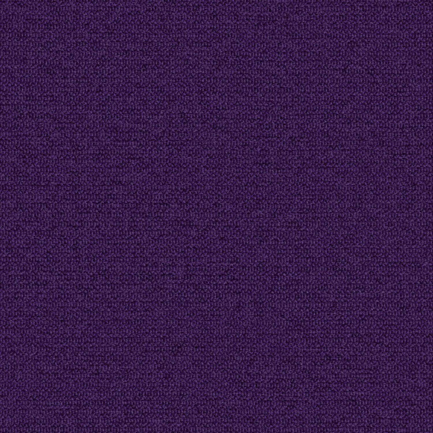 Zippy - Elderberry - 2014 - 11 - Half Yard