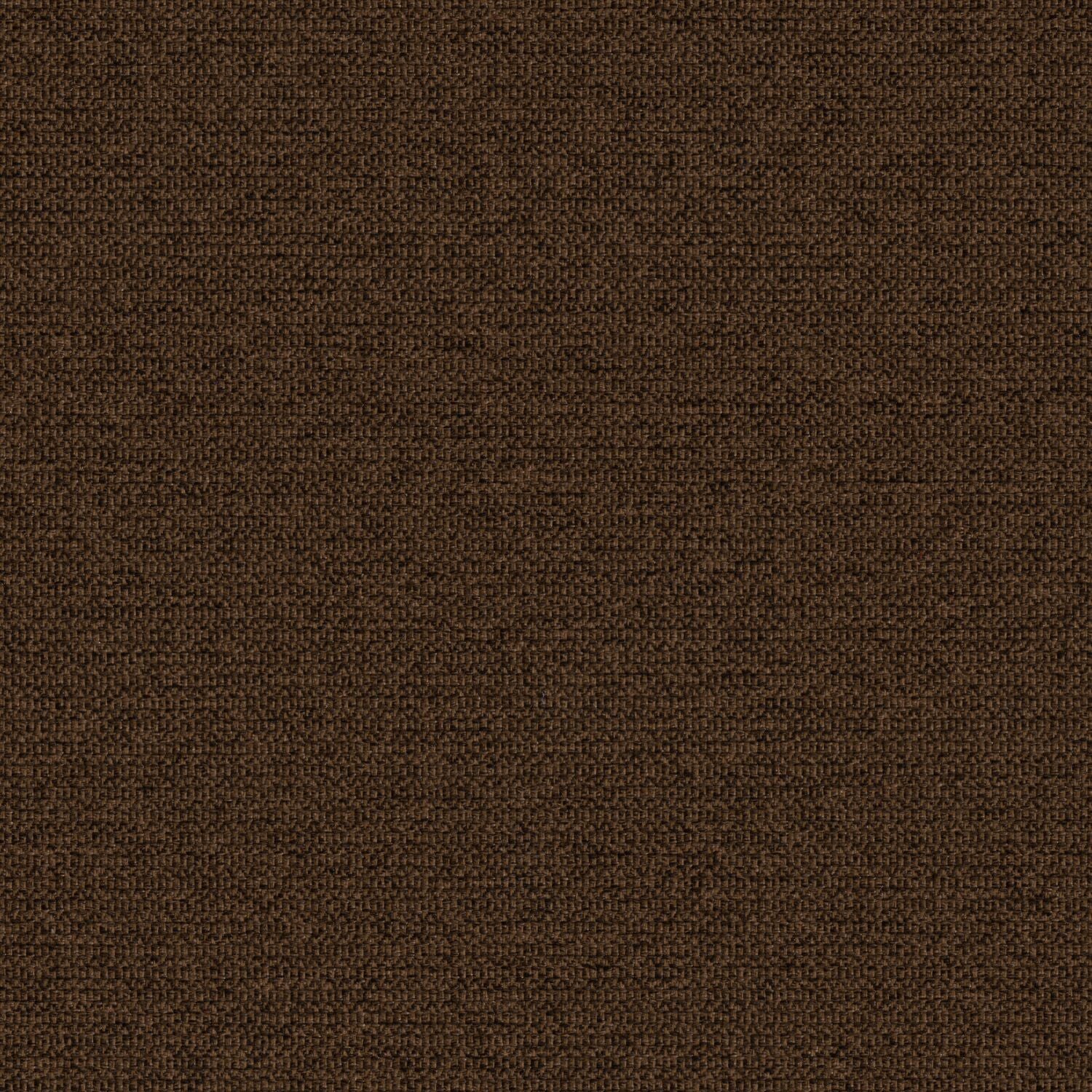 Zippy - Walnut - 2014 - 18 - Half Yard