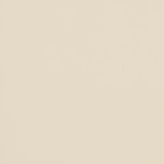 Fine Grain - Putty Paste - 4046 - 04 - Half Yard