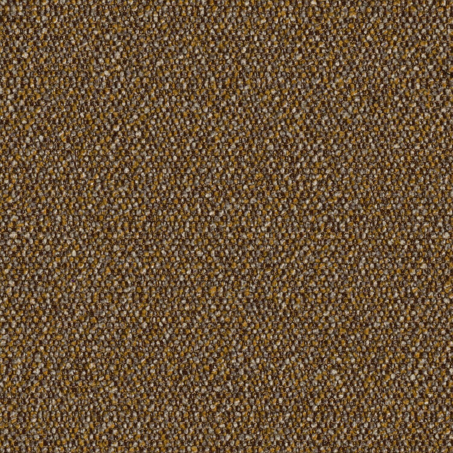 Roam - Prairie - 4155 - 01 - Half Yard