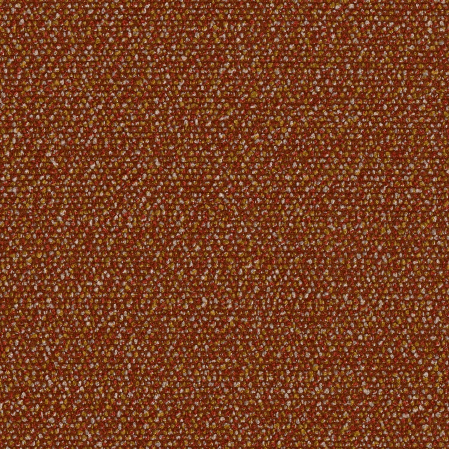 Roam - Safari - 4155 - 02