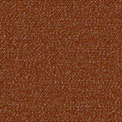 Roam - Safari - 4155 - 02
