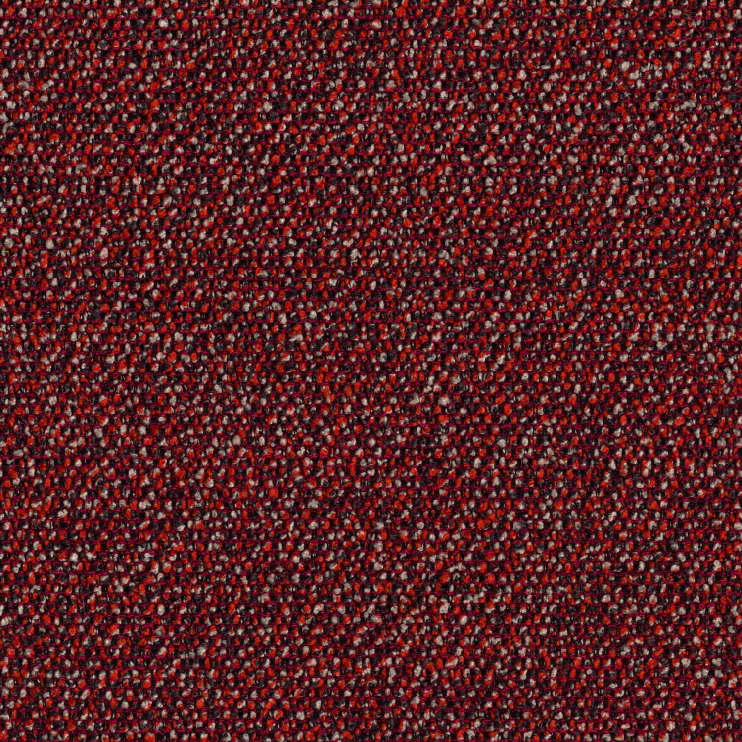 Roam - Wilderness - 4155 - 04