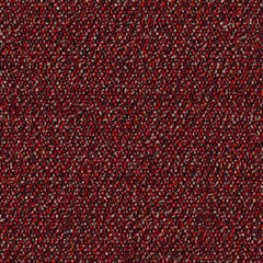 Roam - Wilderness - 4155 - 04