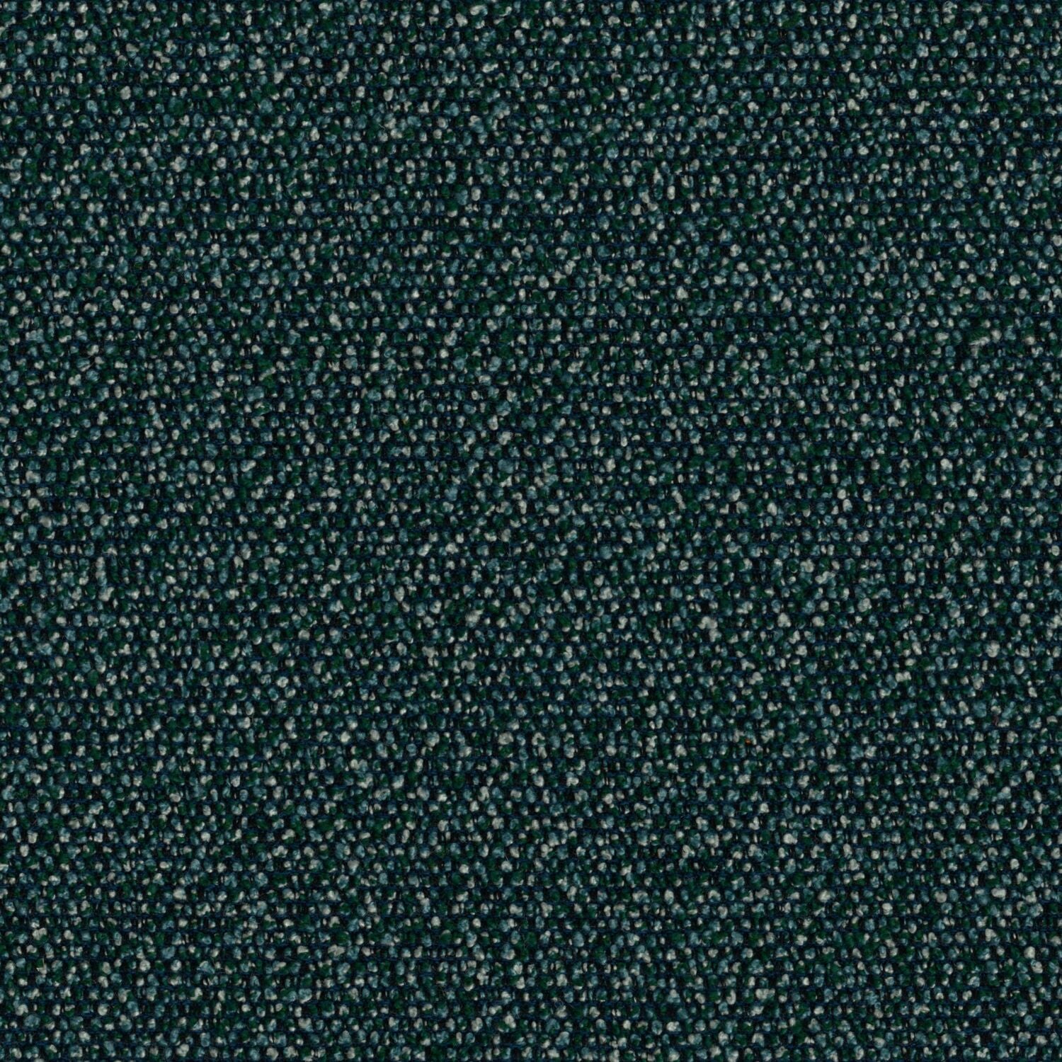 Roam - Rainforest - 4155 - 08