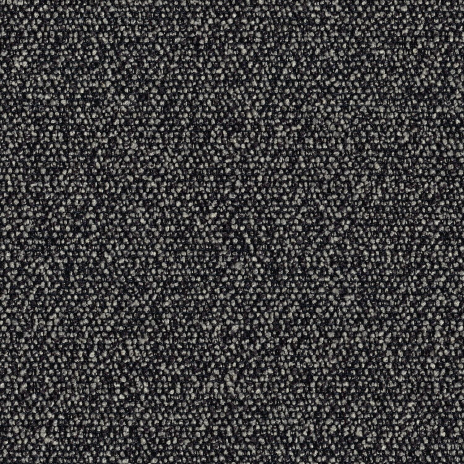 Roam - Cityscape - 4155 - 10