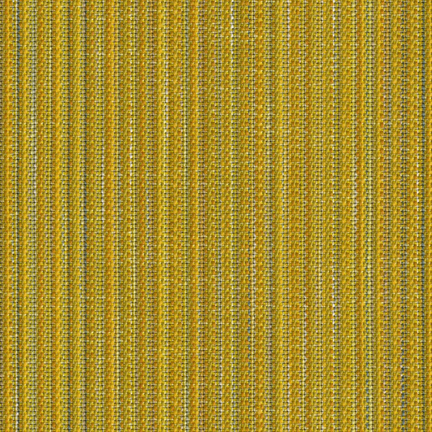 Reed Tones - Dandelion - 4151 - 02