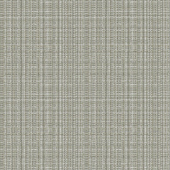 Replay - Fizz - 4158 - 01