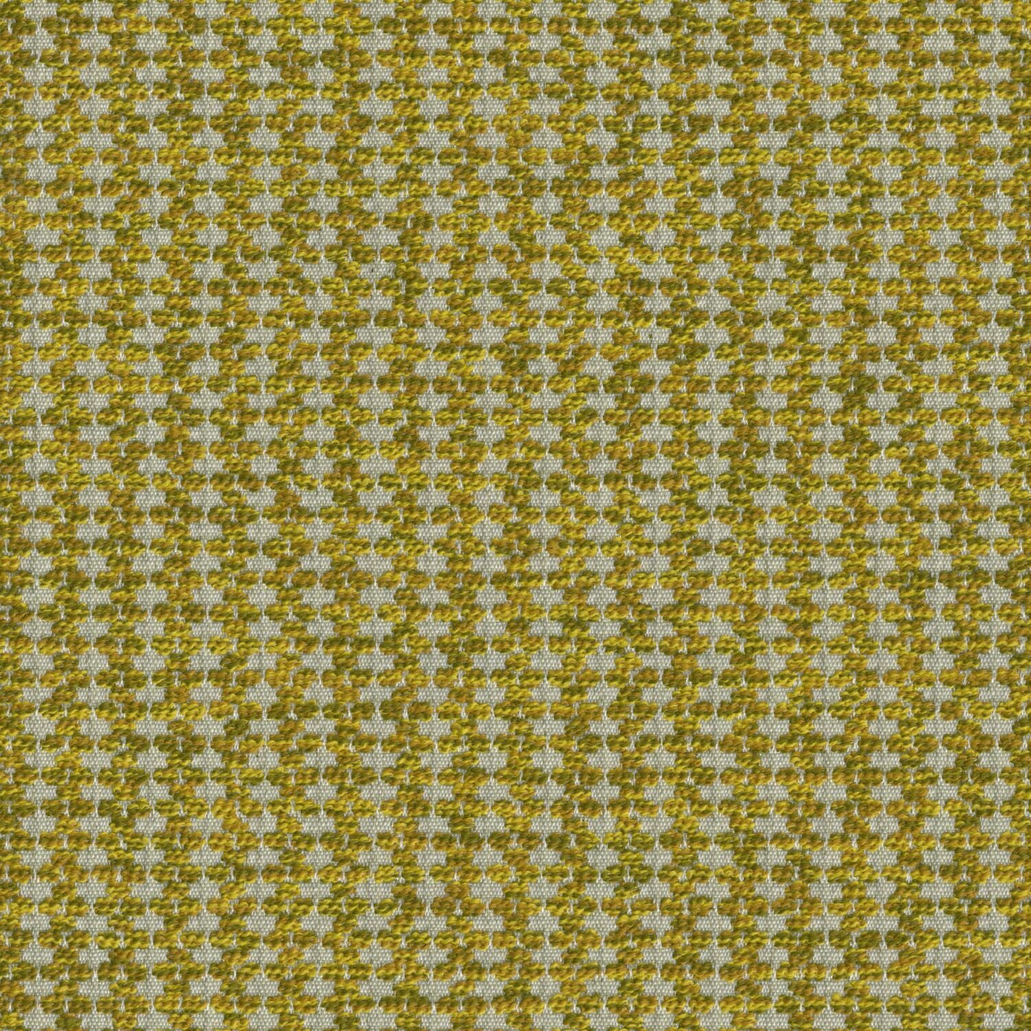 Sequence - Lemon - 4156 - 02