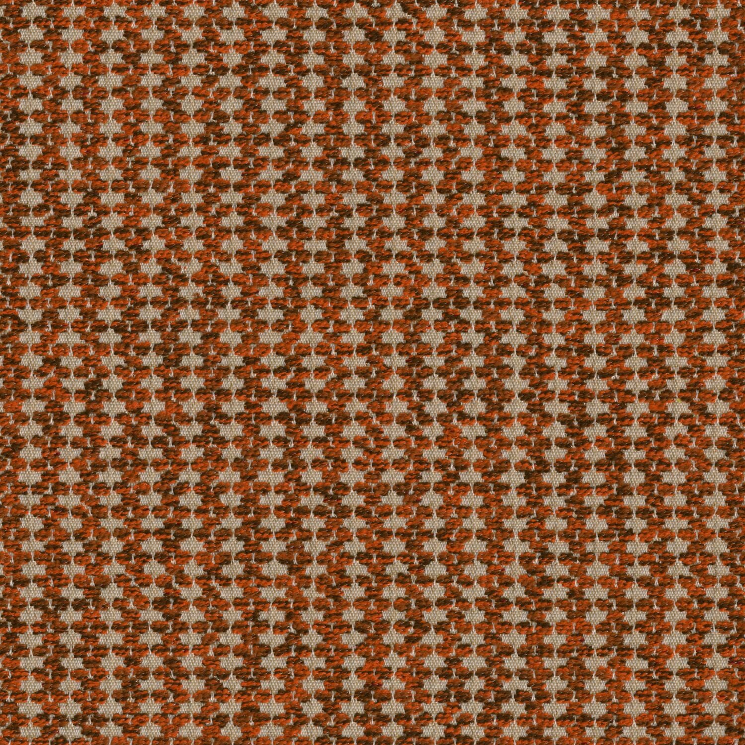 Sequence - Tamarind - 4156 - 04