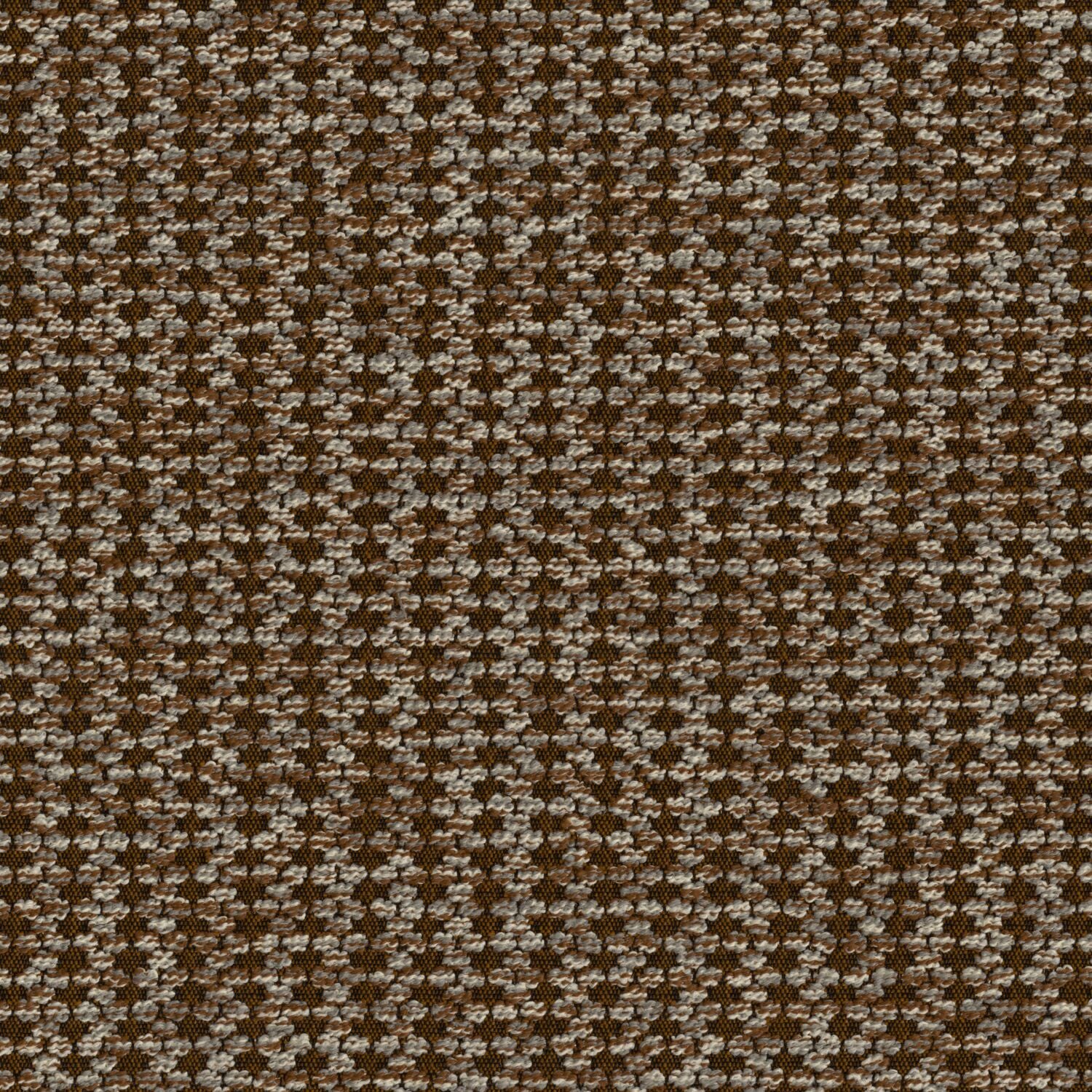 Sequence - Barley - 4156 - 07
