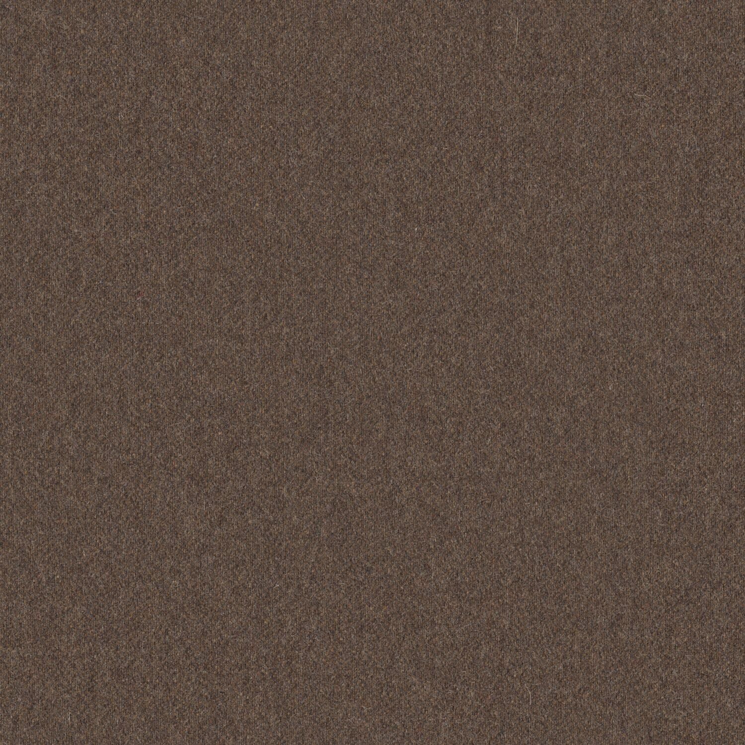 Stability - Hazelnut - 2010 - 05 - Half Yard
