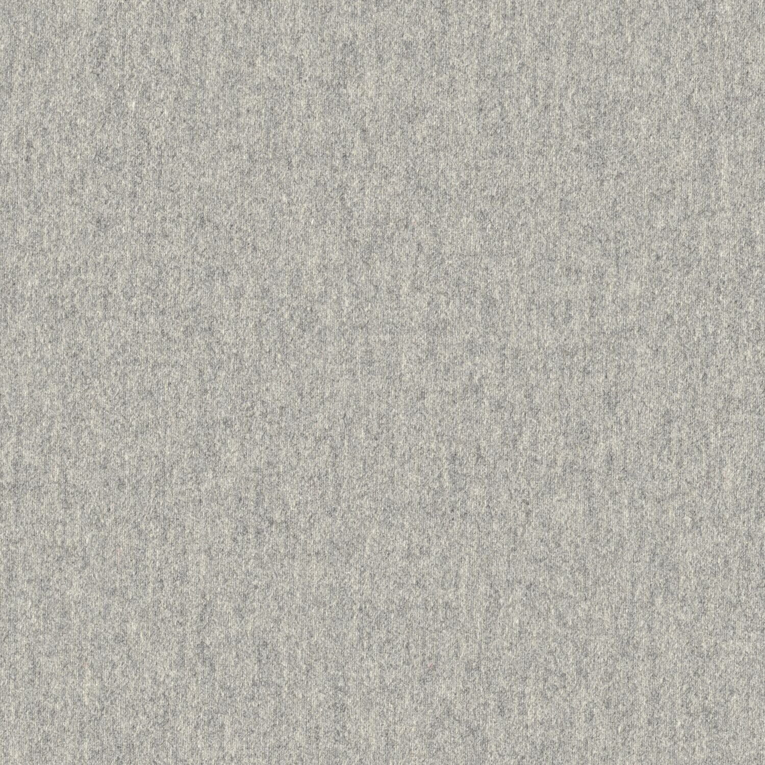 Stability - Gray Birch - 2010 - 08