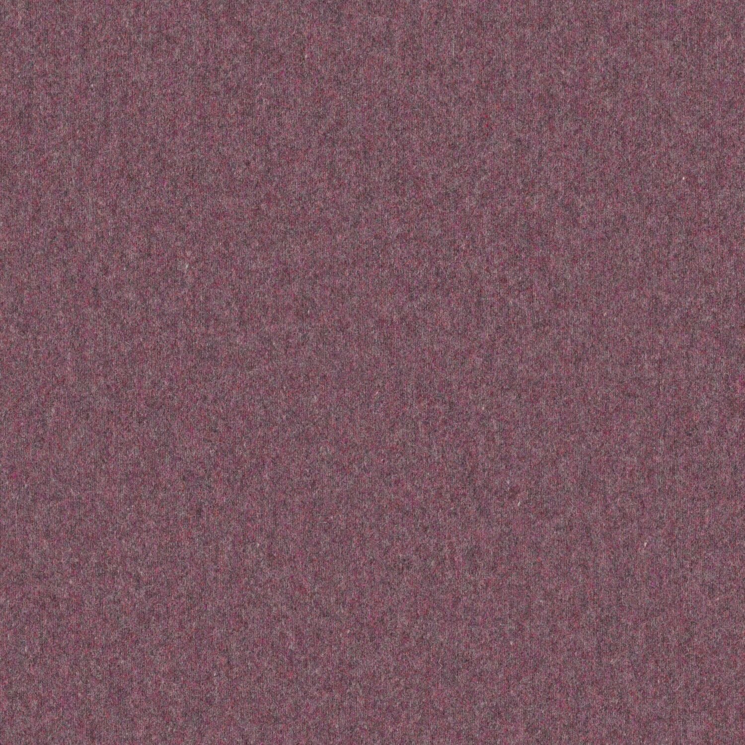 Stability - Heliotrope - 2010 - 21