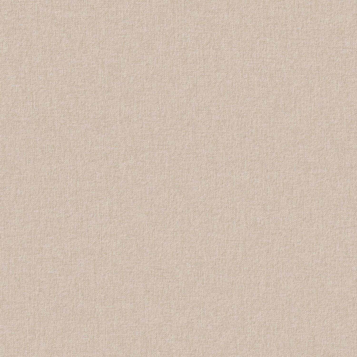 Tint - Canvas - 2015 - 01