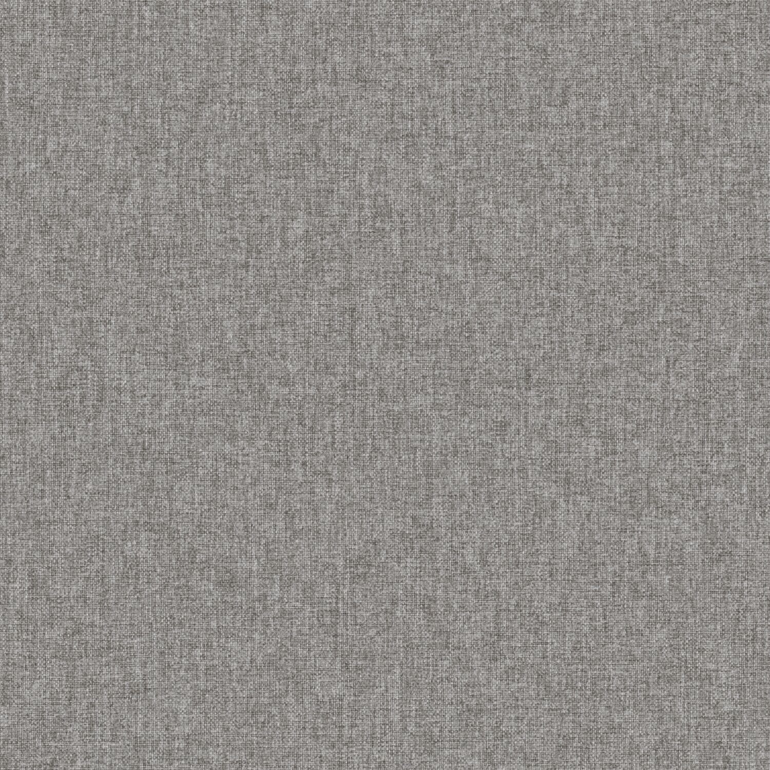 Tint - Gray Fox - 2015 - 05