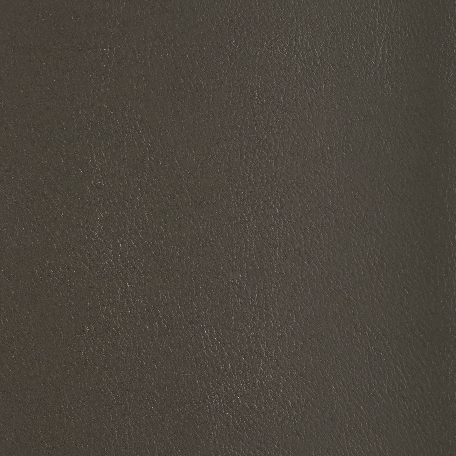 Fine Grain - Volcanic Ash - 4046 - 08 - Half Yard